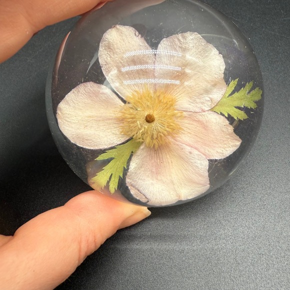 Vintage Resin Paperweight With Pressed‎ Alaskan Wild Rose Inclusion - Picture 7 of 8